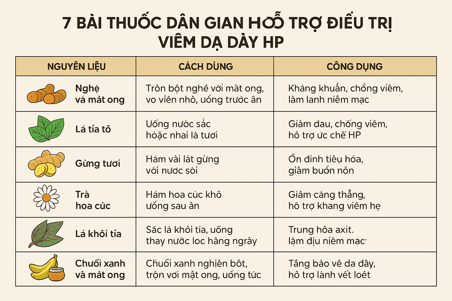 Viêm dạ dày HP: Triệu chứng, điều trị và 7 bài thuốc dân gian hỗ trợ hiệu quả
