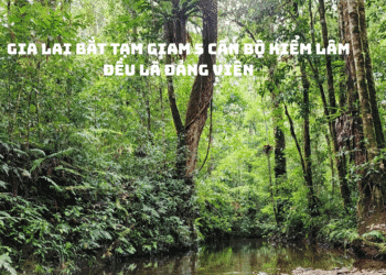 bắt tạm giam 5 cán bộ kiểm lâm – đều là đảng viên