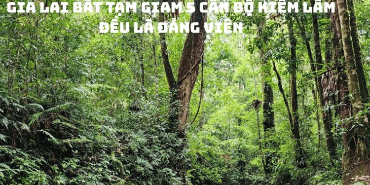 bắt tạm giam 5 cán bộ kiểm lâm – đều là đảng viên