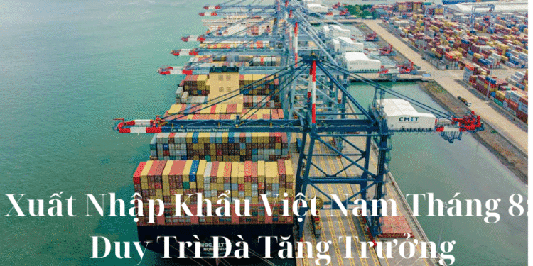 Xuất Nhập Khẩu Việt Nam Tháng 8: Duy Trì Đà Tăng Trưởng