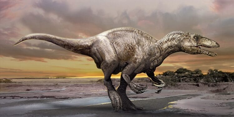 Phát hiện hóa thạch khủng long mới ở Argentina: Joaquinraptor casali