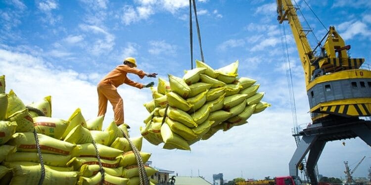 Phân tích chuyên sâu: Việt Nam ứng phó với việc Philippines tạm ngừng nhập khẩu gạo