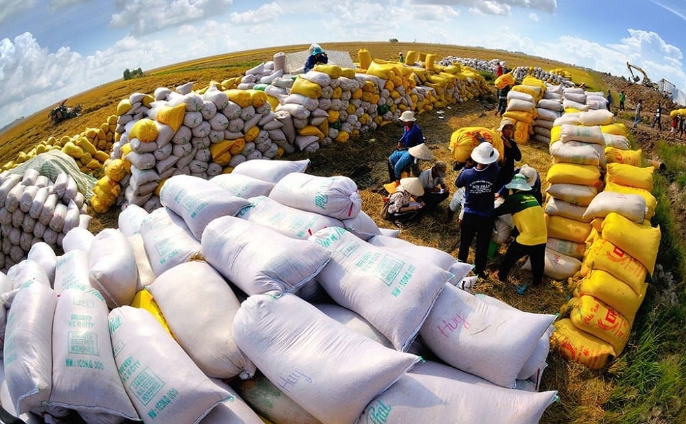 Việt Nam linh hoạt xử lý trước làn sóng tạm ngừng nhập khẩu gạo từ Philippines