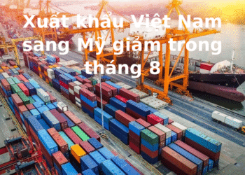 Xuất khẩu Việt Nam sang Mỹ giảm trong tháng 8: Cảnh báo sớm cho nền kinh tế?