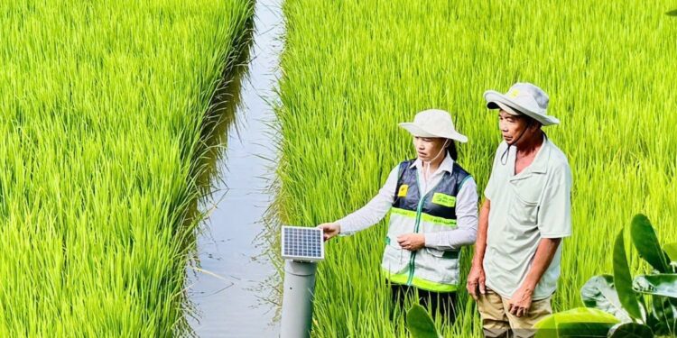 Khuyến nông Việt Nam đổi mới toàn diện: Từ đồng ruộng đến chuyển đổi số theo Thông tư 60/2025/TT-BNNMT