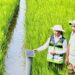 Khuyến nông Việt Nam đổi mới toàn diện: Từ đồng ruộng đến chuyển đổi số theo Thông tư 60/2025/TT-BNNMT