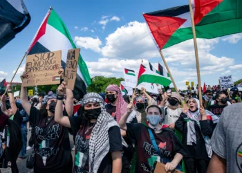 Làn sóng biểu tình quốc tế ủng hộ Gaza: Sự phẫn nộ lan tỏa toàn cầu
