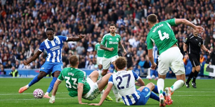Brighton 2-1 Newcastle