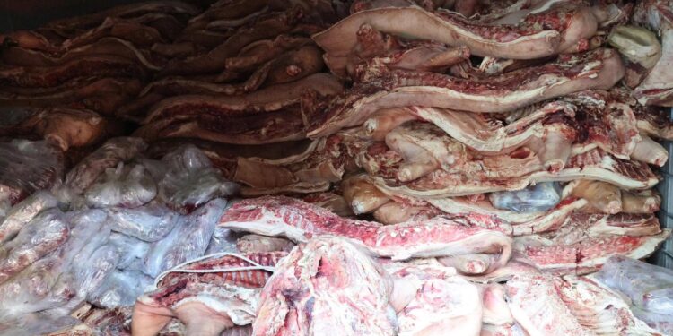 Khởi tố đối tượng trữ gần 38 tấn thịt lợn nhiễm dịch tả lợn Châu Phi