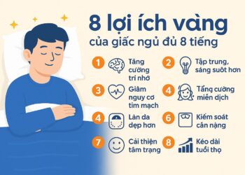 1️⃣ Ngủ đủ 8 tiếng mỗi ngày – Bí mật sống khỏe, trẻ lâu và hạnh phúc
