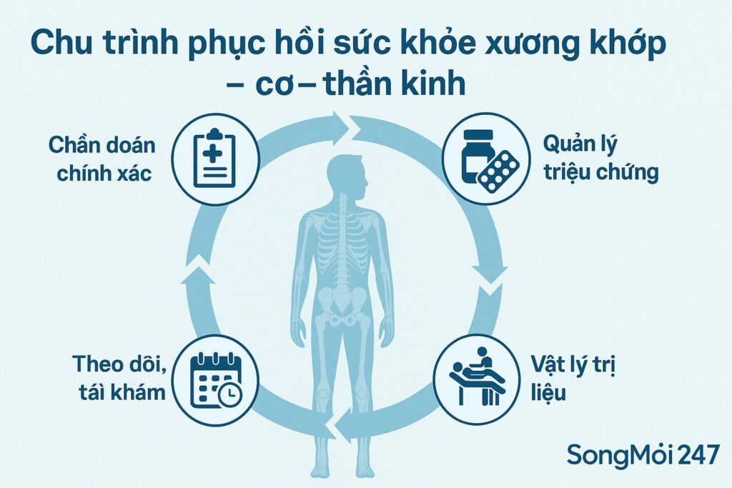 Điều trị bệnh xương khớp – cơ – thần kinh