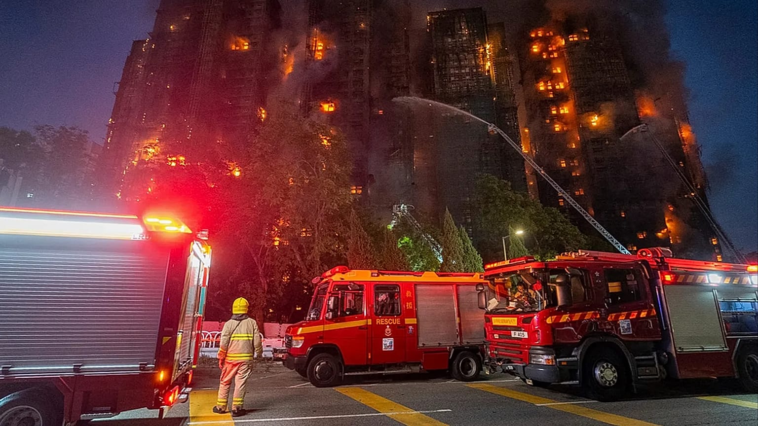 https://images.euronews.com/articles/stories/09/56/25/67/1536x864_cmsv2_58ad1ee2-1381-58ad-b57e-eaf32cc04d18-9562567.jpg