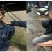 Lâm Đồng: Liên tiếp xảy ra trộm xe máy, triệt phá nhóm “đá xế” liên tỉnh hoạt động chuyên nghiệp
