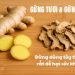 Gừng tươi và gừng khô: Công năng trái ngược – Dùng sai dễ hại sức khỏe!