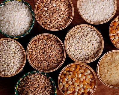 https://4.bp.blogspot.com/-ht7XVvwlSj4/WqXa5q0lULI/AAAAAAAAEXg/xpjpyhUTB6cZO_9cxAiCNn0ht_IlSuUoACEwYBhgL/s1600/wholegrains.jpg