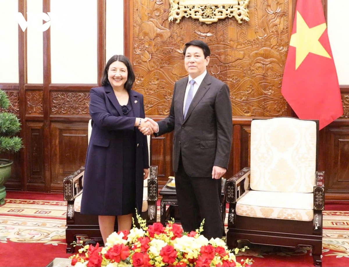 chu tich nuoc tiep dai su cac nuoc den trinh quoc thu hinh anh 4