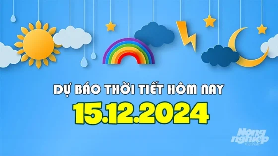 Dự báo thời tiết hôm nay 15/12: Bắc Bộ rét sâu về đêm, Trung Bộ mưa dông cục bộ, Nam Bộ nắng vàng