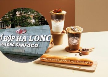 Chấn động: Highlands Coffee là đối tác tiêu thụ lớn Đồ hộp Hạ Long trong Báo cáo tài chính 2025