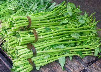 Rau muống có nhiều chất xơ không? Giá trị dinh dưỡng và lợi ích sức khỏe