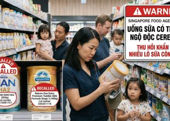 Singapore thu hồi thêm sữa Nestlé NAN HA2 và Nature One Dairy do nhiễm độc tố Cereulide