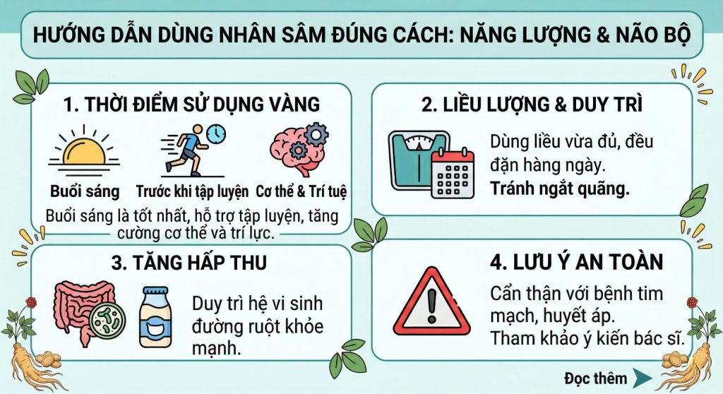Cách Dùng Nhân Sâm Cải Thiện Năng Lượng Và Trí Nhớ Hiệu Quả Nhất