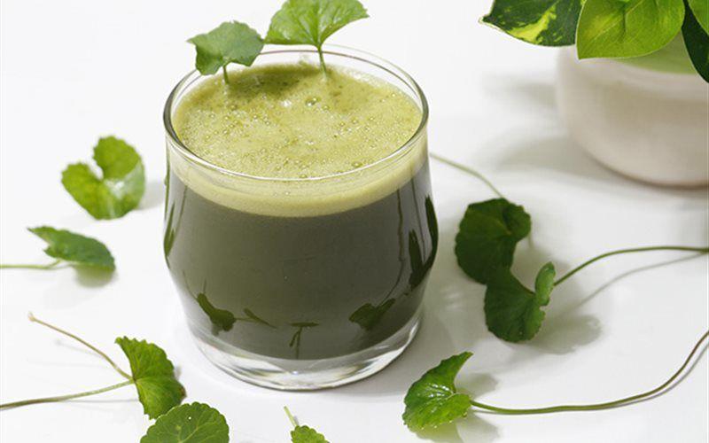 7 Đồ Uống Thanh Nhiệt Giúp Cơ Thể Mát Lạnh, Khỏe Khoắn Ngày Hè
