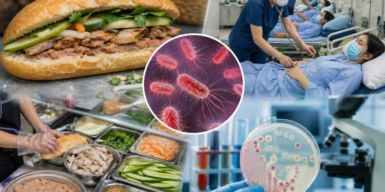 Vụ ngộ độc bánh mì ở Diễn Châu: 5/7 mẫu thực phẩm dương tính Salmonella, 62 người nhập viện đã xuất viện