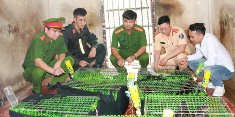 Triệt phá đường dây buôn bán động vật nguy cấp, quý hiếm liên tỉnh qua mạng xã hội